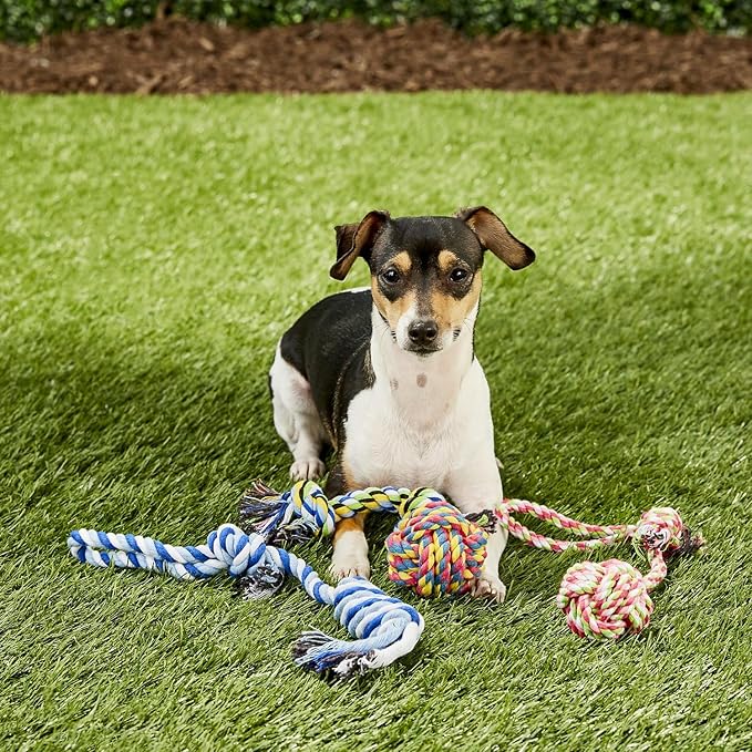 Otterly Pets 4-Pack Puppy Dog Rope Toys for Small to Medium Dogs – Interactive Tug of War Pull Toy for Dogs, Puppy Teething Toys - Machine Washable - Great for Fetch