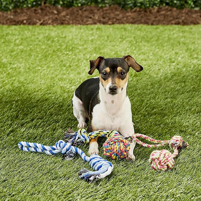 Otterly Pets 4-Pack Puppy Dog Rope Toys for Small to Medium Dogs – Interactive Tug of War Pull Toy for Dogs, Puppy Teething Toys - Machine Washable - Great for Fetch