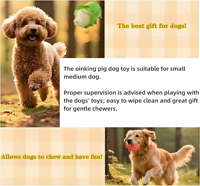 Dog Squeaky Toy, 2 Pack Latex Chew Toys with Oinks Sound Squeaker Cabbage&Carrots Grunting Pig Dog Toy Durable Dogs Squeeze Toy for Small Medium Large Dog Dental Biting Chasing to Kill Boring Time