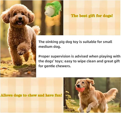 Dog Squeaky Toy, 2 Pack Latex Chew Toys with Oinks Sound Squeaker Cabbage&Carrots Grunting Pig Dog Toy Durable Dogs Squeeze Toy for Small Medium Large Dog Dental Biting Chasing to Kill Boring Time