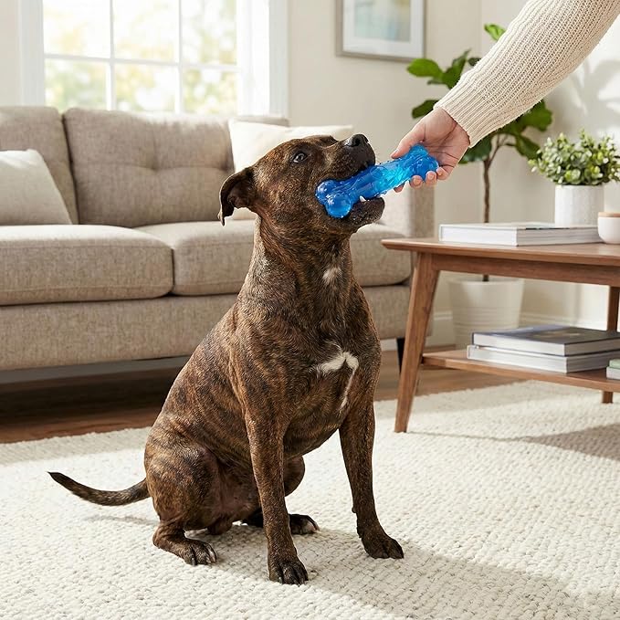 SPOT Play Strong Scent-sations Bone - Scent-Infused, Strong, Durable TPR Rubber, Heavy Duty Dog Toys for Aggressive Chewers up to 45lbs, Perfect for Puppies & Medium Breeds, 6in, Bacon Flavored