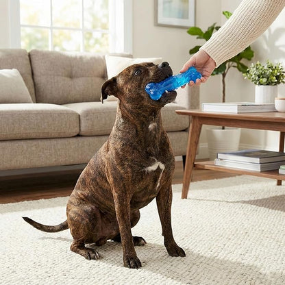 SPOT Play Strong Scent-sations Bone - Scent-Infused, Strong, Durable TPR Rubber, Heavy Duty Dog Toys for Aggressive Chewers up to 45lbs, Perfect for Puppies & Medium Breeds, 6in, Bacon Flavored