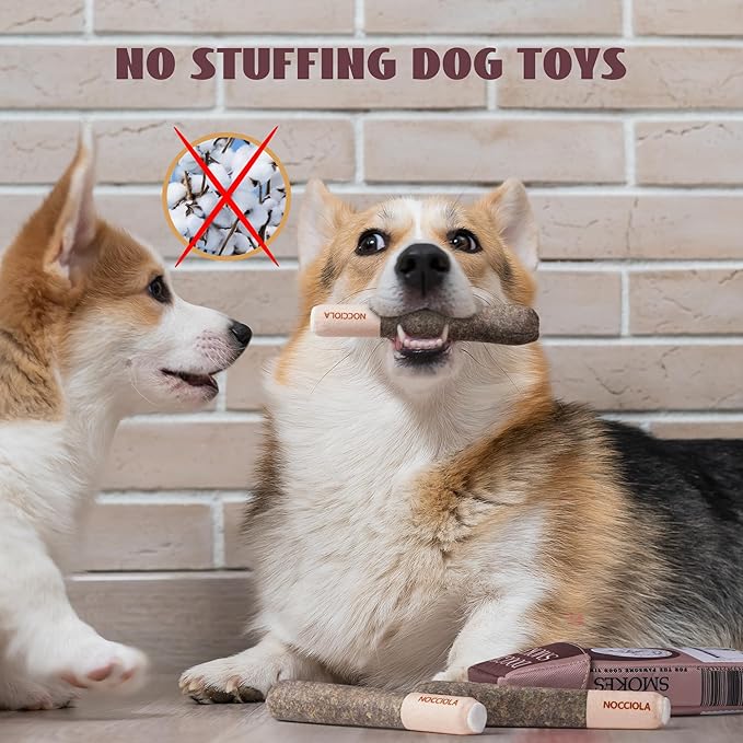 Nocciola Funny Squeaky Dog Toys, Cool Stuffed Plush Toys for Medium, Small and Large, Accessories for Dog Birthday