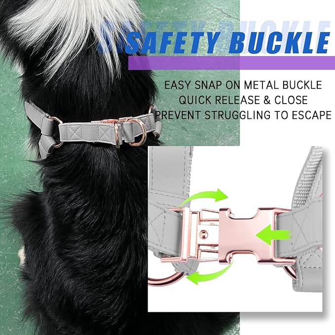 Soft Leather No Pull Dog Harness - Adjustable Step in Dog Harness with Rose Gold Heavy Duty Metal Buckle, Freedom Nylon Dog Halter Vests for Small Medium Large Dogs Easy Walking Training XS, Grey
