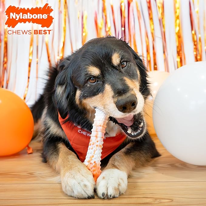 Nylabone Limited Edition 70th Birthday Textured Bone Power Chew Toy for Dogs, Durable & Tough Dog Toys for Aggressive Chewers, Roasted Chicken Flavor, X-Large Dogs - 50+ lbs (1 Count) (Pack of 6)