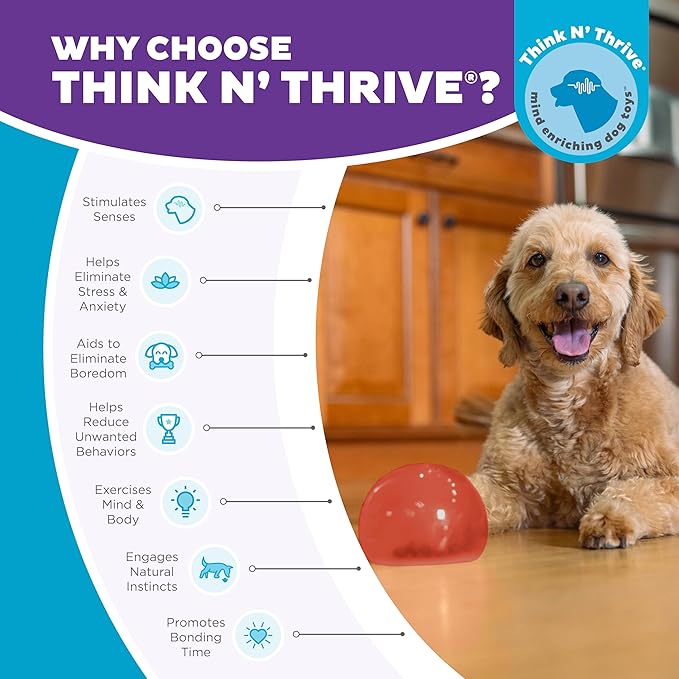 Outward Hound by Planet Dog Lil' Snoop Dog Toy – Treat‑Dispenser Puzzle Ball, Interactive Slow Feeder, Small to Medium Dogs, Bouncy & Mint-Infused, Red, 3.9"