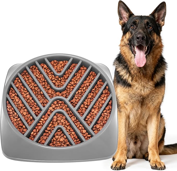 KASBAH Slow Feeder Dog Bowls Large Breed, 5 Cups Capacity for Wet & Dry Food, Puzzle Maze Bowl for Fast Eaters, Non-Slip Base, BPA Free, Helps Prevent Bloat and Aid Digestion