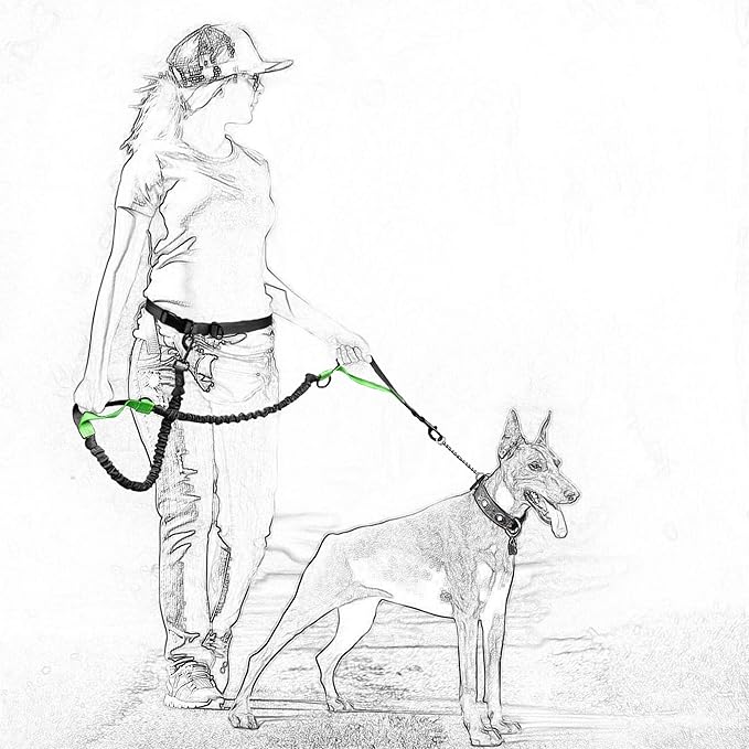 Mile High Life Hands Free Waist Leash for Dog Running Training and Jogging, Adjustable Belt with Double Handle, Reflective Bungee for Medium Large Dogs (Green, 7FT)