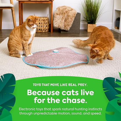 SmartyKat Hidden Hijinks Toy for Indoor Cats & Kittens, Electronic Interactive Motion Toy, Featuring Teaser Wand, Plus Replaceable Batteries Included