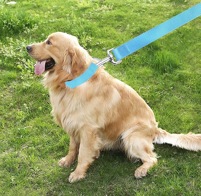 TAIAN 4 FT Strong Dog Leash, Nylon Dog Leashes for Small Medium Large Dogs Blue