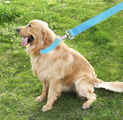 TAIAN 4 FT Strong Dog Leash, Nylon Dog Leashes for Small Medium Large Dogs Blue