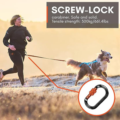 Non-stop dogwear Canix belt, unisex Parent