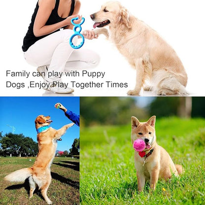 Small Dogs Puppy Chew Toys 17Pack Cute Variety Shape Multi Colors Designs to Bite Anytime Enjoy Teething Toys Training Supplies