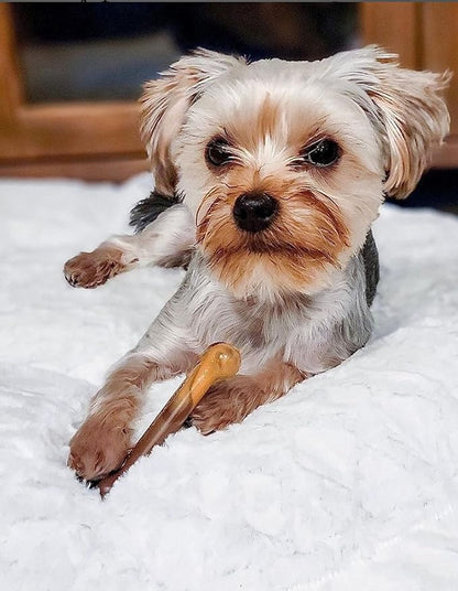 Nylabone Original Bone Power Chew Toy for Dogs, Durable Dog Toys for Aggressive Chewers, Flavor Frenzy Bacon Cheeseburger & Apple Pie Flavor, Small - Up to 25 Ibs, 2 Pack