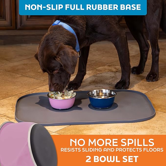Master Pet Supply Stainless Steel Dog Bowls Set of 2 (16 Oz Each) with Non-Slip Rubber Base - Hyper Pink - Basic Dog Food Bowl Water & Food Bowls for Small Medium Large Dogs & Cats, Metal Dish