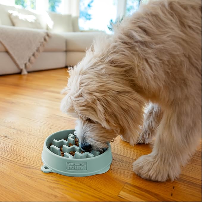 Outward Hound Medium Slow Feeder Bowl, Puzzle Maze for Fast Eaters, Small to Medium Dogs, Helps Prevent Bloat & Aid Digestion, Holds 2 Cups Wet or Dry Food, Non-Slip, Made Without BPA, Sage