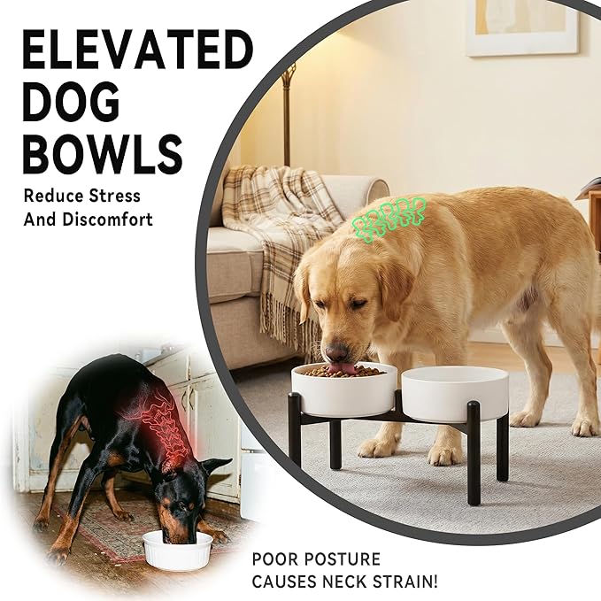 Dog Bowls Elevated - Ceramic Raised Dog Bowl with Non Slip Steel Stainless Stand - No Spill and Heated Feeding Station - Food and Water Dish Set for Medium to Large Pet - Each Holds 7.5 Cups – Green
