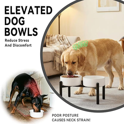 Dog Bowls Elevated - Ceramic Raised Dog Bowl with Non Slip Steel Stainless Stand - No Spill and Heated Feeding Station - Food and Water Dish Set for Medium to Large Pet - Each Holds 7.5 Cups – Green