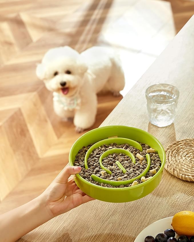 Ceramic Slow Feeder Dog Bowls, 2.0 Cups Slow Feeder for Medium Dogs, Puzzle Maze Bowl to Slow Down Eating, 30oz, 8in, Green