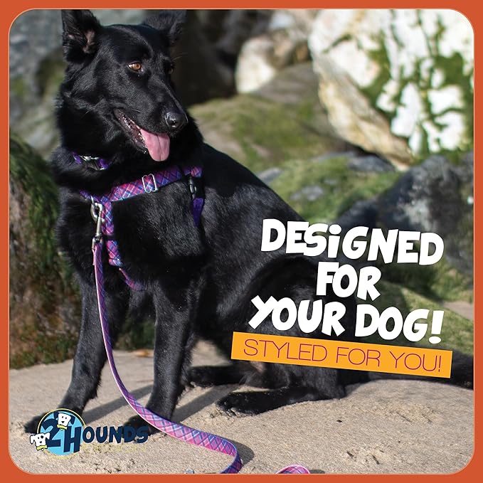 2 Hounds Design - Freedom No-Pull Harness & Training Leash in Pink and Purple | Dual Leash Loops, No Pulling on Walks | Lined to Prevent Chaffing | for Small Sized Dogs (Size S, Chest 20”- 24”)