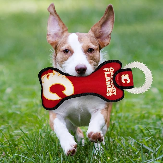 Pets First NHL Calgary Flames Dog Bone Squeak Toy with Cleaning Teething Ring