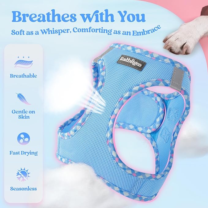rabbitgoo Dog Harness Small Sized and Leash Set, Step in Soft Light Puppy Vest, Breathable Mesh Pet Harness, Reflective for Safe Easy Walking, Blue & Plaid Trim M