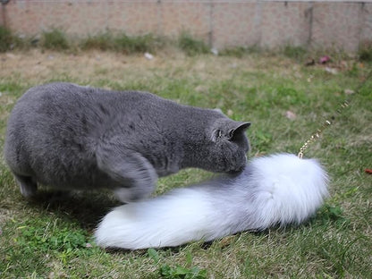 Fosrion Real Fox Tail Fur Cat Bites Toy with Three Section Retractable Carbon Fiber Rod(White, Only Tail)