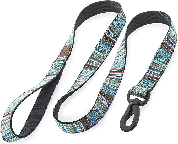 Embark Adventure Dog Leashes - Colorful, Strong, and Sturdy Dog Leash for Small, Medium, and Large Breed Dogs (Boho, 5 Ft)