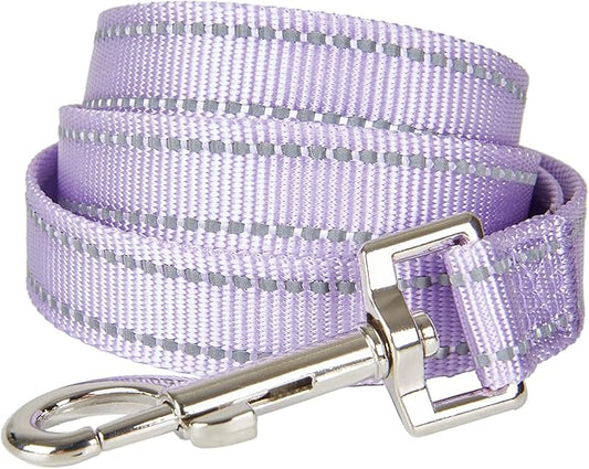 Reflective Nylon Dog Leash, Handle Padded with Neoprene, for Small Medium Large Dog.(S, Lilac Purple)