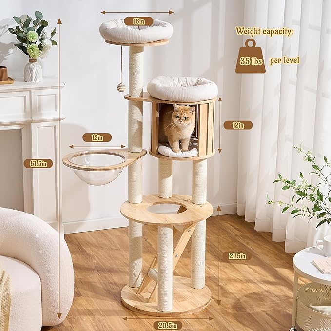 Modern Cat Tree Tower with Scratching Post, 61.5in Tall Cat Tree for Indoor Cats, Multi-Level Solid Wood Cat Furniture with Ladder, Cozy Cat Beds, Cat Condo, Capsule Nest, Dangling Toy, Natural