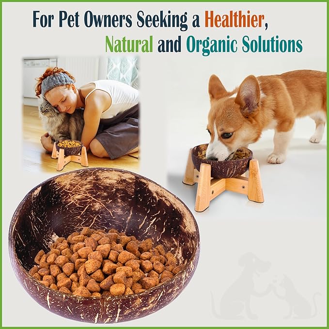 Raised Dog Bowl for Small Dogs - Elevated Natural Coconut Shell Bowl with Wood Stand - Around 20-oz Capacity - Suitable of Wet and Dry Dog Foods