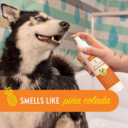 Dogtopia Deodorizer Spray for Pets | 8oz Long-Lasting Piña Colada Odor Eliminator for Dogs | Gentle Water - Based Pet Deodorizing Spray