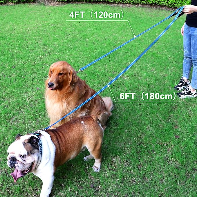 FunTags 4FT Reflective Dog Leash with Soft Padded Handle for Training,Walking Lead for Medium & Small Dogs,3/4 Inch Wide,SkyBlue