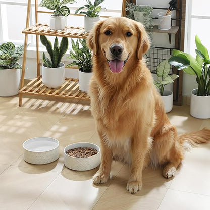 MALACASA Ceramic Dog Food Bowl, 6 Cups or 54 oz Dog Food Water Dish for Large Breeds, Pet Bowl Dishwasher & Microwave Safe, Honeycomb, Series Lydia