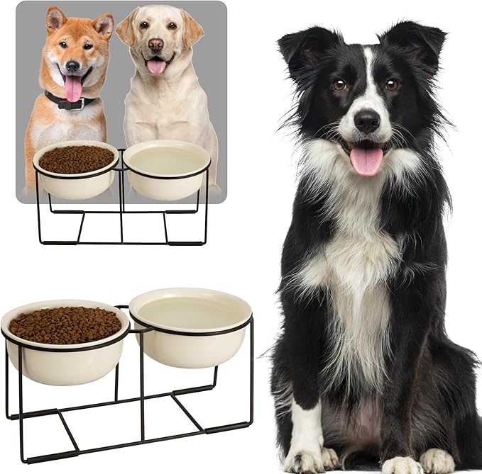 Ceramic Elevated Dog Bowl Set - Raised Double Feeding Bowls with Metal Stand - Pet Dishes for Medium and Large Dogs - 3.5 Cups - 54 fl oz - Beige