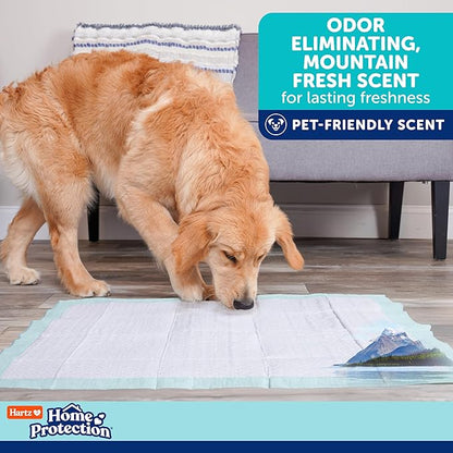 Hartz Home Protection Super Absorbent Odor Eliminating Mountain Fresh Scented No Leaks Dog Pads, XL 60 Count