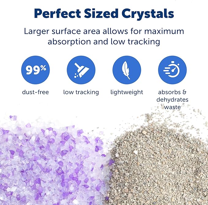 PetSafe ScoopFree Premium Crystal Cat Litter - Outperforms Clay Litter - Refill Packs - Reusable Tray Compatible - Lavender Scent - 4.3 lb Bags - 2 Pack