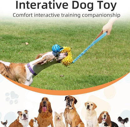 ETIAL Interactive Dog Tug of War Toy, Puppy Training Pull Toy with Bungee Rope for Exercise & Interactive Play Games, Dog Rope Toy for Small Medium Large Dogs Chase and Tug (Orange)