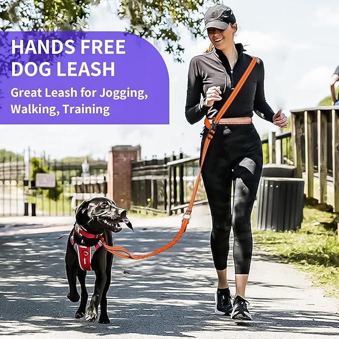 Kazazoo Hands-Free Dog Leash with 5.5-8.5FT Adjustable Length - Heavy Duty No Pull Bungee Design, Reflective Safety for Walking, Jogging & Training | Suitable for Medium to Large Dogs,M Size-Orange