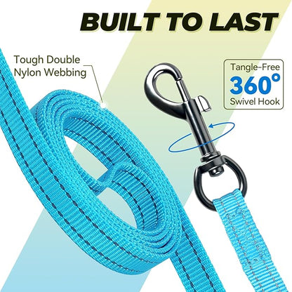VIVAGLORY Dog Leash Twingrip Double Handle Dog Leash with Traffic Handle Control & 2 Loop for Walking & Training, Reflective Heavy Duty for Puppy Pet Collar, 4ft x 1/2in, Lake Blue
