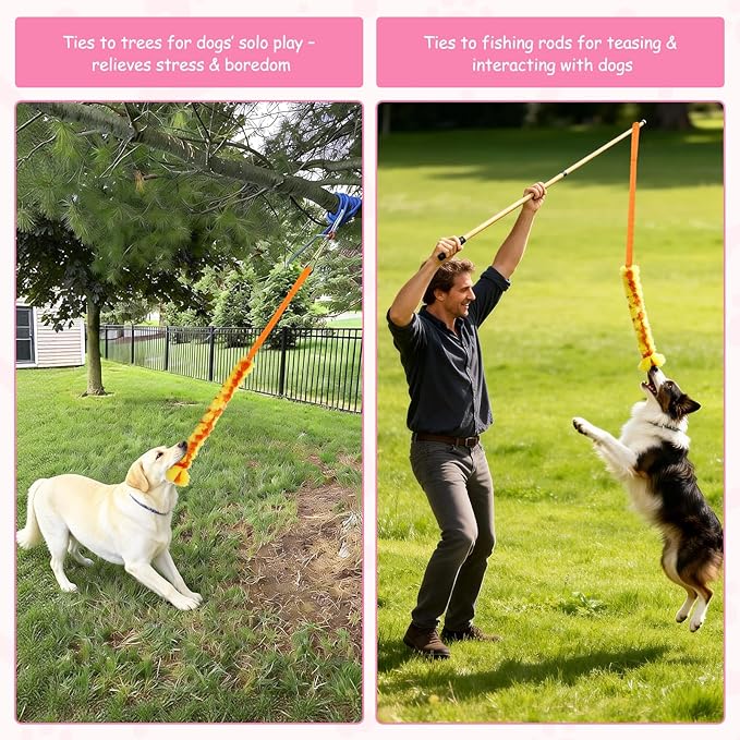 Dog Tug Toys, Bungee Tug of War Dog Rope Toys, Soft Chew Toy for Medium and Small Dogs, Interactive Rope Toys for Puppy Teeth Cleaning