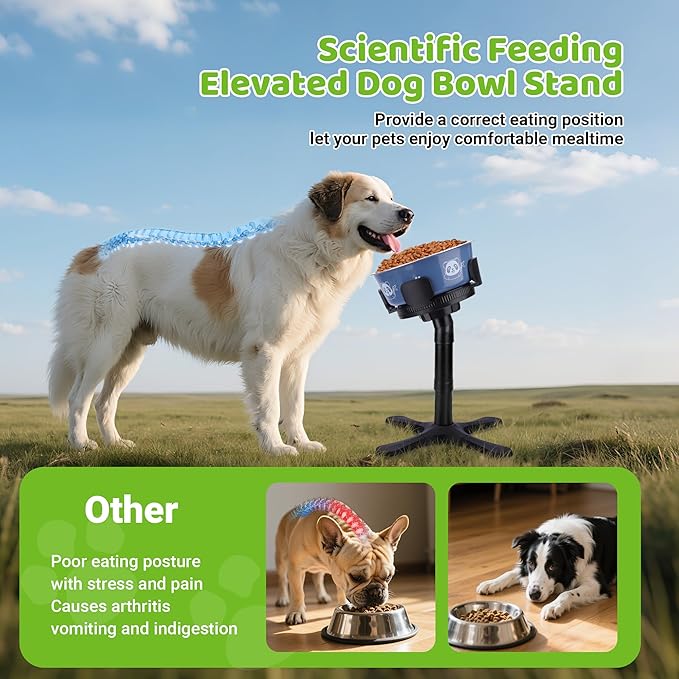 Dog Bowls Elevated Adjustable Stand, Raised Bowl with 3 Heights & Tilted Feeding Stand, Compatible with Various Bowls, for Medium & Large Breeds (2 Pack) Black