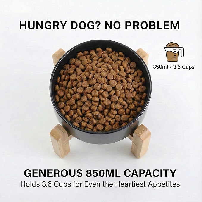 hjn Elevated Ceramic Dog Bowl/Raised Ceramic Dog Bowls with Bamboo Stand, 15°Slanted Raised Pet Feeder for Small Medium Dogs and Cats, Non-Slip Heavy Weighted Design (Black, 3.6Cup)