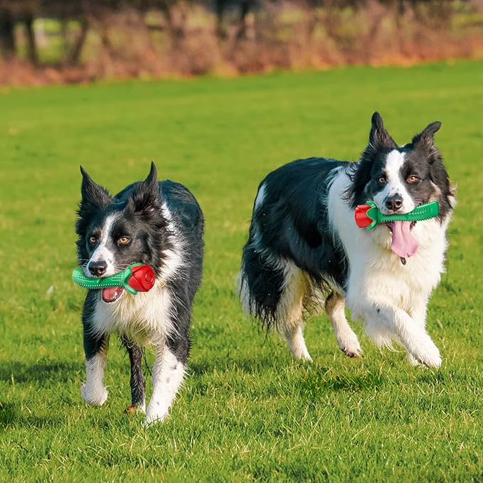 ucho Dog Toys for Training Chew Play, Rose Fetching Dog Pool Toys, Floats Water Toy, and Interactive Pet Chew for Aggressive Chewers Cleaning Teeth