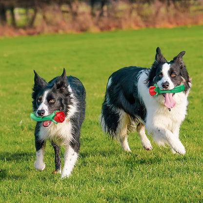 ucho Dog Toys for Training Chew Play, Rose Fetching Dog Pool Toys, Floats Water Toy, and Interactive Pet Chew for Aggressive Chewers Cleaning Teeth