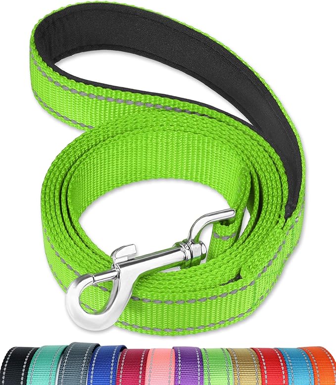 FunTags 6FT Reflective Dog Leash with Soft Padded Handle for Training,Walking Lead for Large & Medium Dog,1 Inch Wide,Green