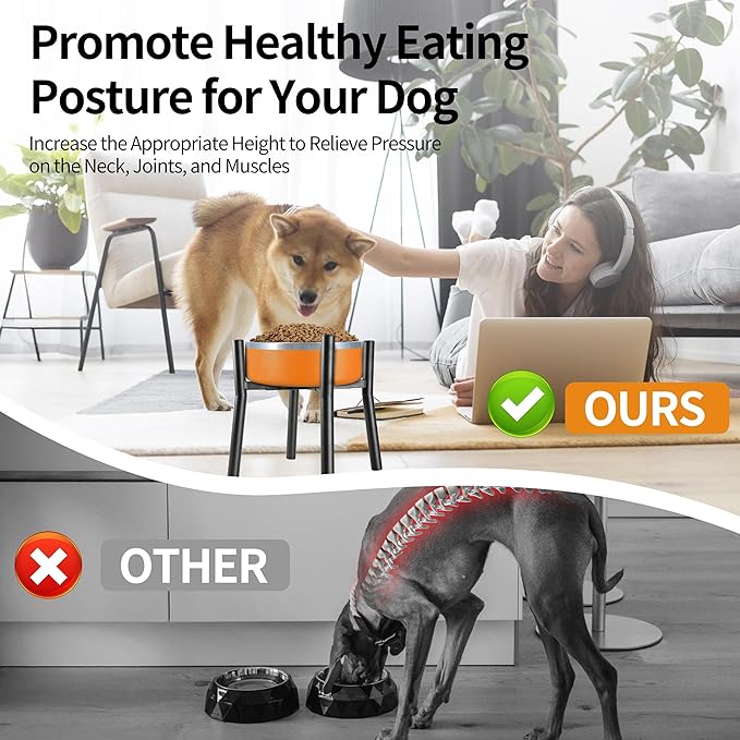 Lifted Dog Bowl Stand - Without Bowls, Single Raise Pet Food Table Adjustable Wide 7-11", Tall 12" - Bowl Stand Size Optional, Dog Bowls Holder Elevated for Small Medium Large Dogs Breed