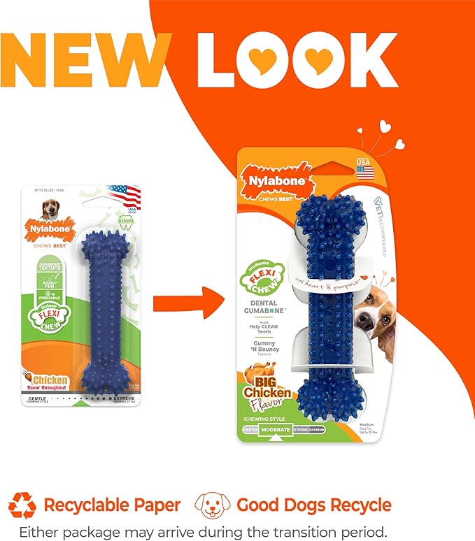 Nylabone Textured Dental Bone Flexi Chew Toy for Dogs, Dog Toys for Moderate Chewers, Chicken Flavor, Medium - Up to 35 lbs, 1 Count