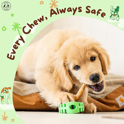 EverChew | Made in USA Bully Stick Holders & Premium All-Natural Bully Stick Starter Packs (SafetyChew+ & 1 Thick 6" Stick | 16 to 39+ lbs)