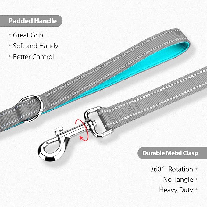 PHOEPET 5 Feet Dog Leash - Dual-Side Reflective - Soft Padded Handle - Fit for Walking, Training or Exploring Hiking, Camping (Grey + Mint Green Base)